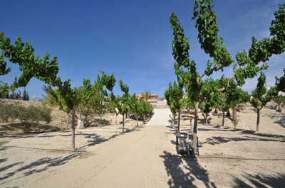 d69b8f023c1fc369b8f023c2003