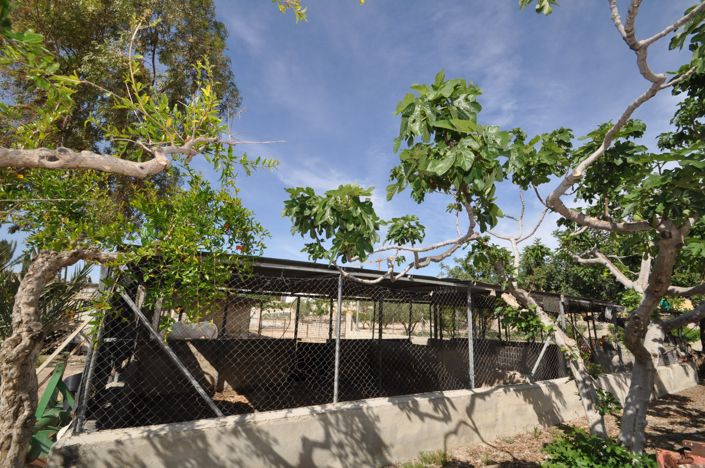 Image No.33-4 Bed Commercial for sale