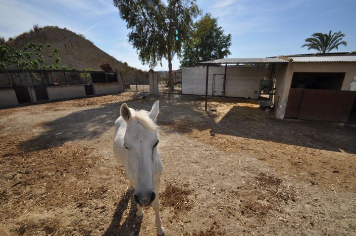 Image No.36-4 Bed Commercial for sale