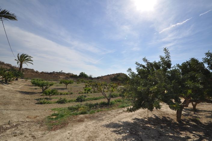 Image No.37-4 Bed Commercial for sale