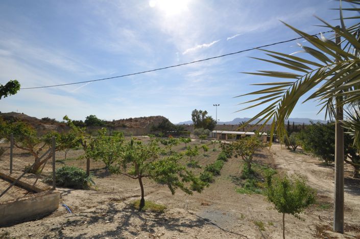 Image No.39-4 Bed Commercial for sale