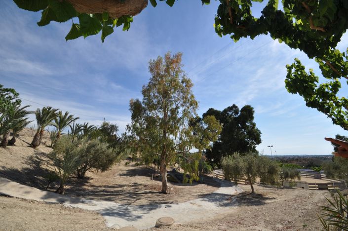 Image No.47-4 Bed Commercial for sale