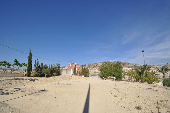 Image No.50-4 Bed Commercial for sale