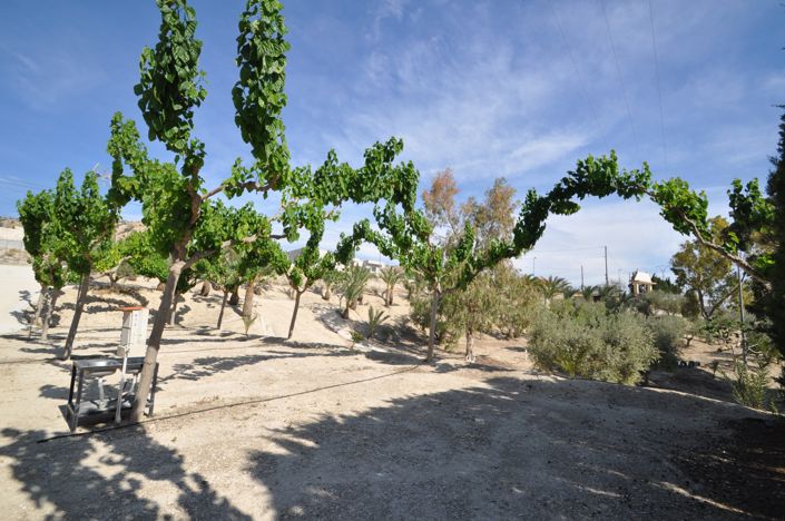 Image No.9-4 Bed Commercial for sale