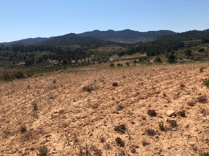 Image No.5-Land for sale