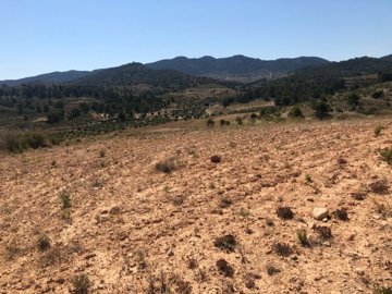 d69b8ef716a47269b8ef716a4b7