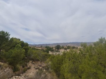 d69b8ef021826569b8ef02182aa