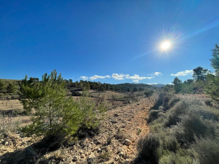 Image No.9-Land for sale