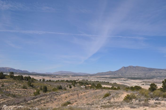Image No.4-Terre à vendre à La Zarza