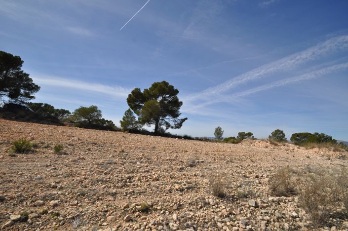 Image No.2-Terre à vendre à La Zarza