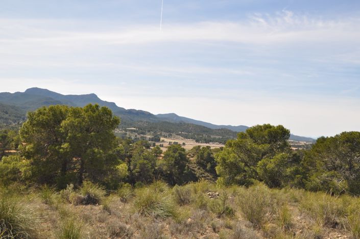 Image No.21-Land for sale