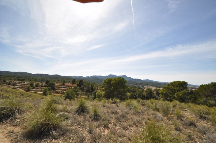 Image No.23-Land for sale