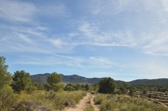 Image No.3-Terre à vendre à La Zarza