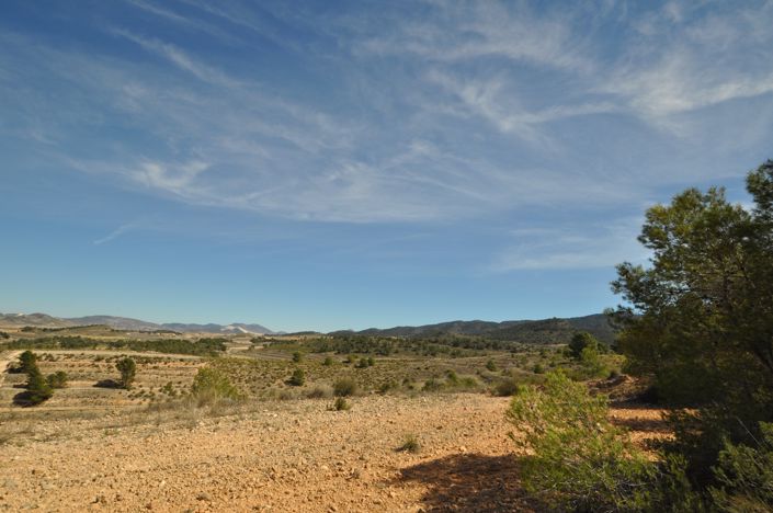 Image No.4-Terre à vendre à La Zarza