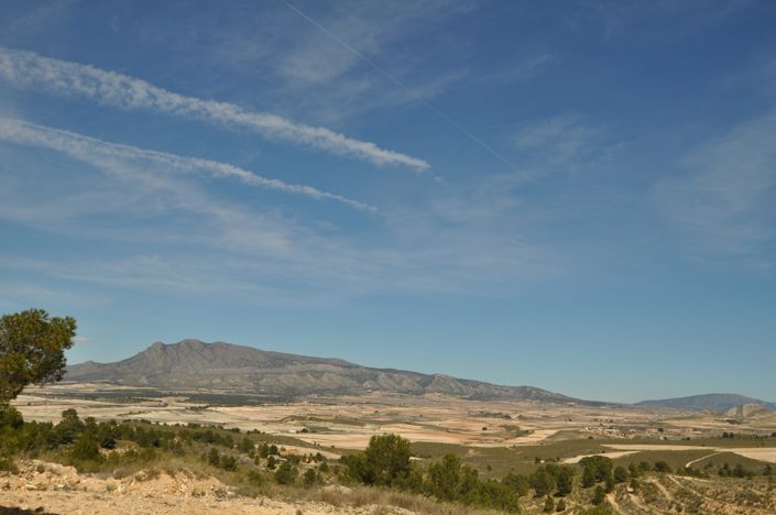 Image No.5-Terre à vendre à La Zarza