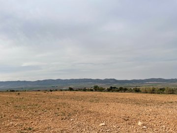 d69b8ede2cd72769b8ede2cd773