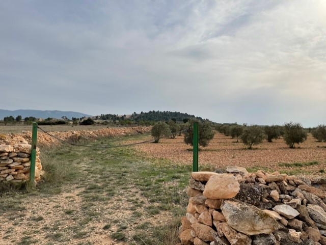 Image No.26-Land for sale