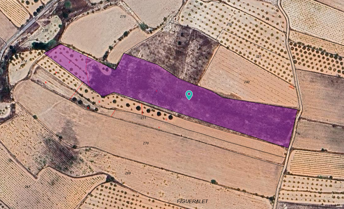 Image No.3-Terre à vendre à Monóvar