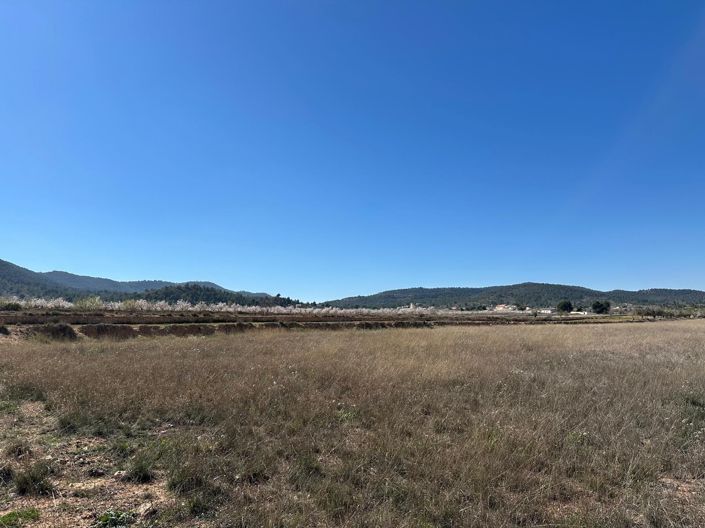 Image No.5-Terre à vendre à Monóvar