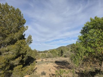 4d00cfa16611098e