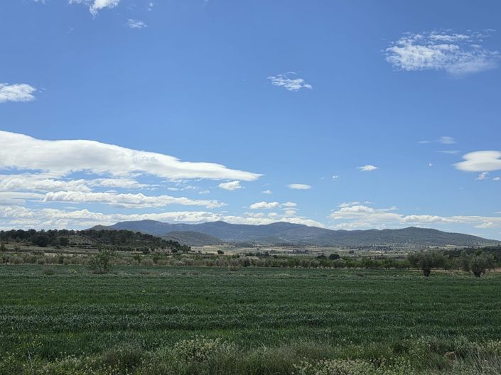 Image No.6-Terre à vendre à Monóvar