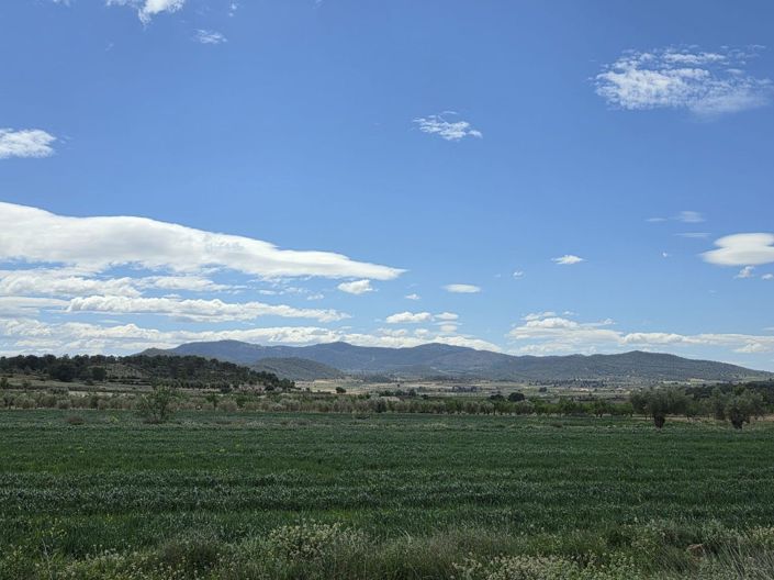 Image No.6-Land for sale