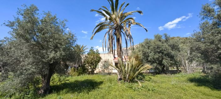 Image No.18-3 Bed Country House for sale