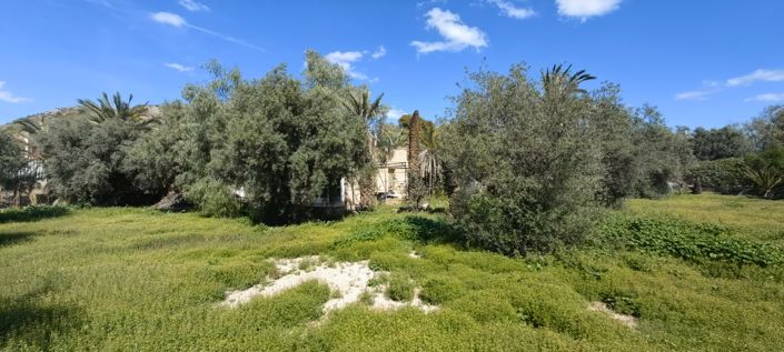 Image No.23-3 Bed Country House for sale