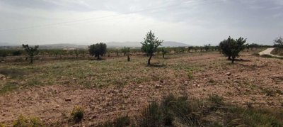 29689-country-house-for-sale-in-pinoso-182169