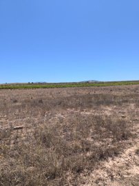 d69c55a628732169c55a6287367