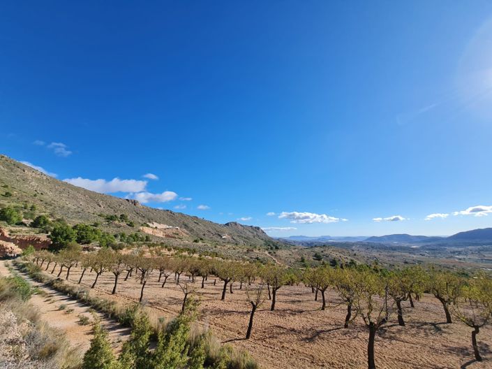 Image No.2-Land for sale