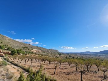 d69c558d7660d269c558d76611b