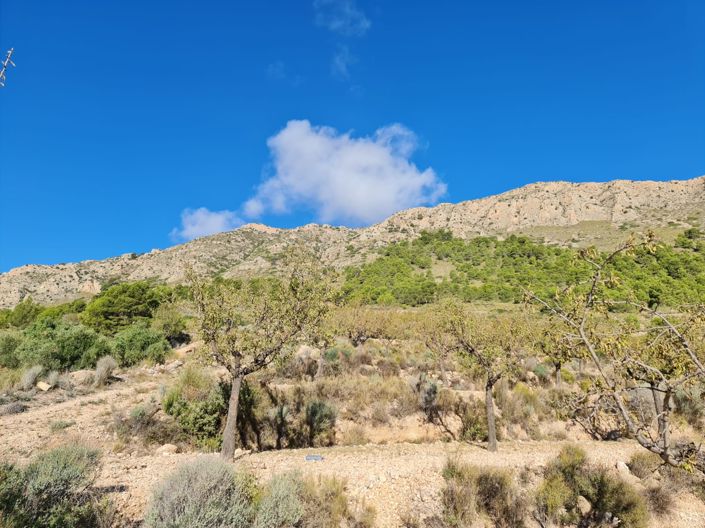 Image No.9-Land for sale