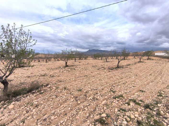 Image No.2-Land for sale
