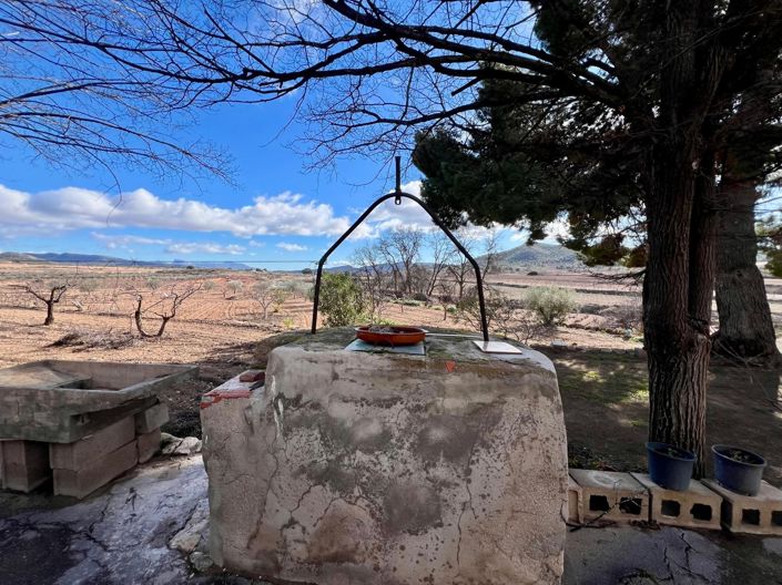 Image No.22-Maison de campagne de 6 chambres à vendre à Monóvar