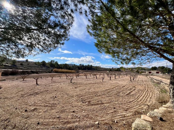 Image No.33-Maison de campagne de 6 chambres à vendre à Monóvar