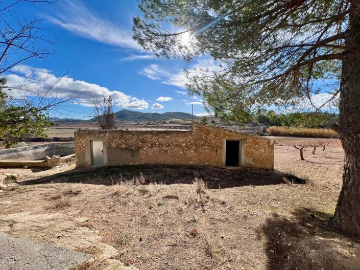 Image No.36-Maison de campagne de 6 chambres à vendre à Monóvar