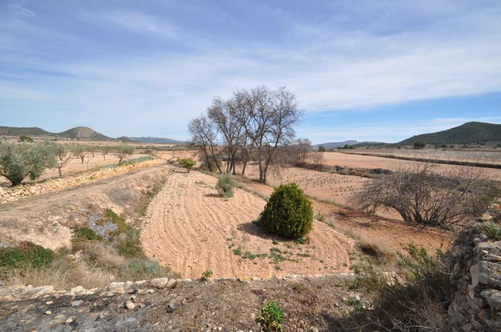 Image No.41-Maison de campagne de 6 chambres à vendre à Monóvar