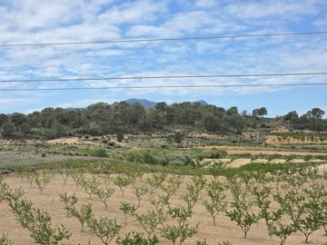 o1jm7nng7d3tk74916e84ad19o21n