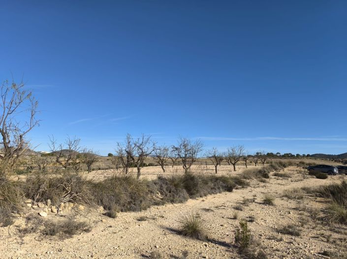 Image No.11-Land for sale