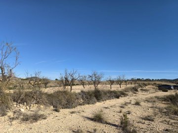 d69caff61de7e469caff61de82b