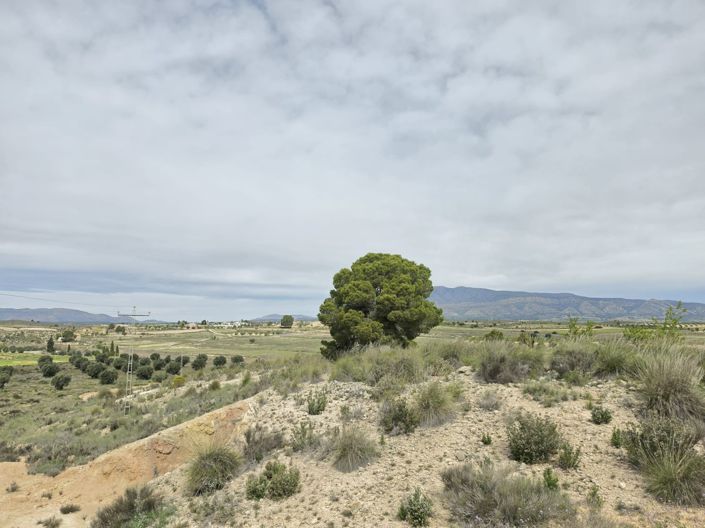 Image No.4-Land for sale