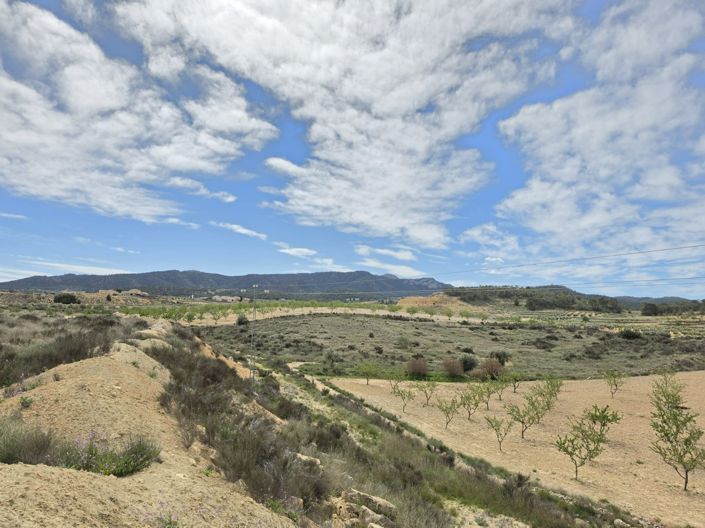 Image No.5-Land for sale