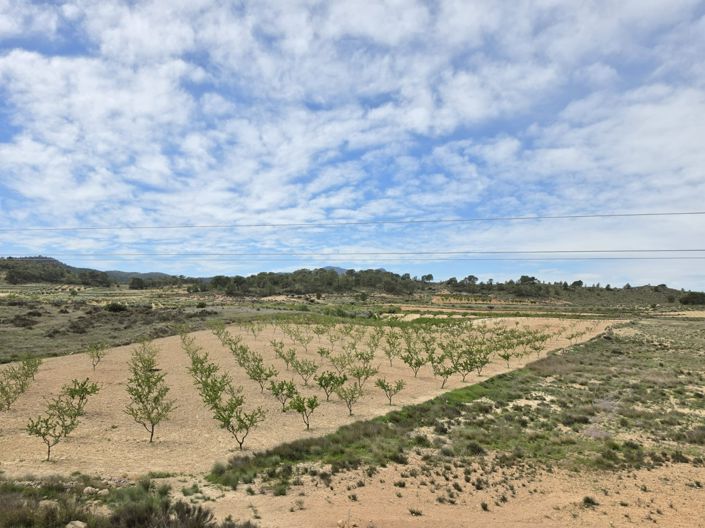 Image No.6-Land for sale