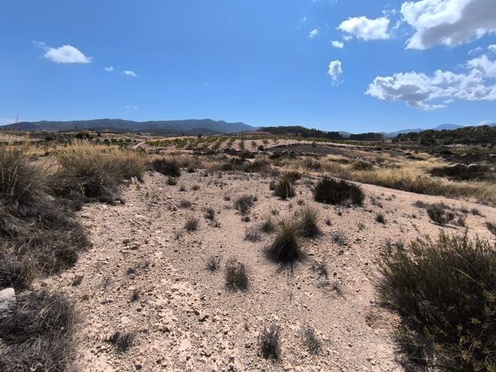 Image No.7-Land for sale