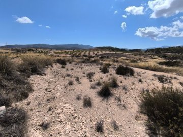 d69caff61cee1569caff61cee5d