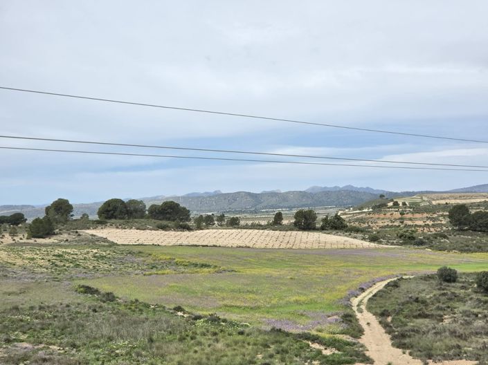 Image No.8-Land for sale