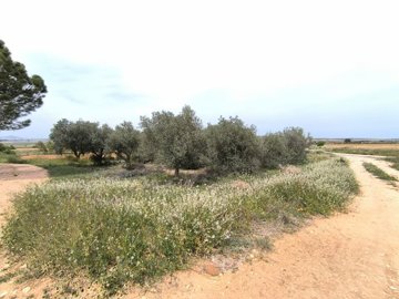 o1jln27mmqs6t1gg26e014nm1d1q1c