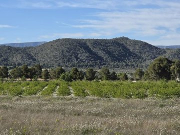 d69df1bfaa04a169df1bfaa04e6