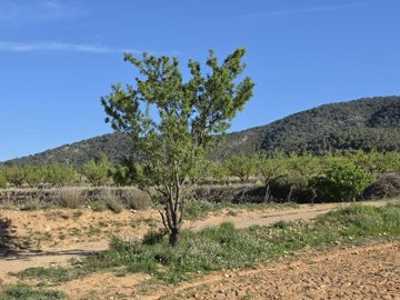 d69df1bfaa0b5369df1bfaa0b99